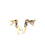 Black Dragon Gloves