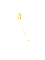 Angelic Staff