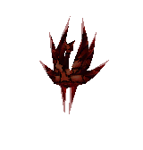 Dragon Shield