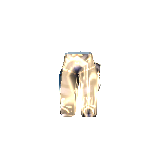 Black Dragon Pants